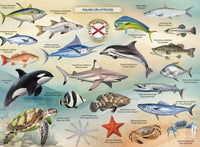 Aquatic Life of Florida Puzzle |  | Safari Ltd®