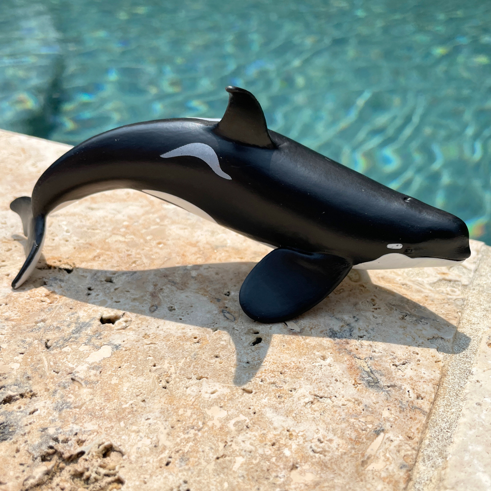 Type D Orca Toy Figure Safari Ltd type-d-orca-toy-figure-safari-ltd