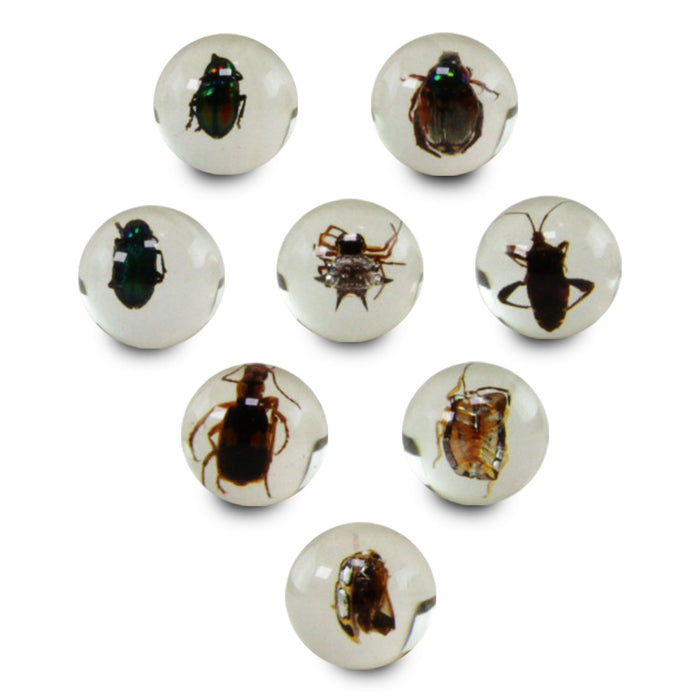 GEOWorld Safari Ltd Bug Marbles - Real bug species in resin marbles