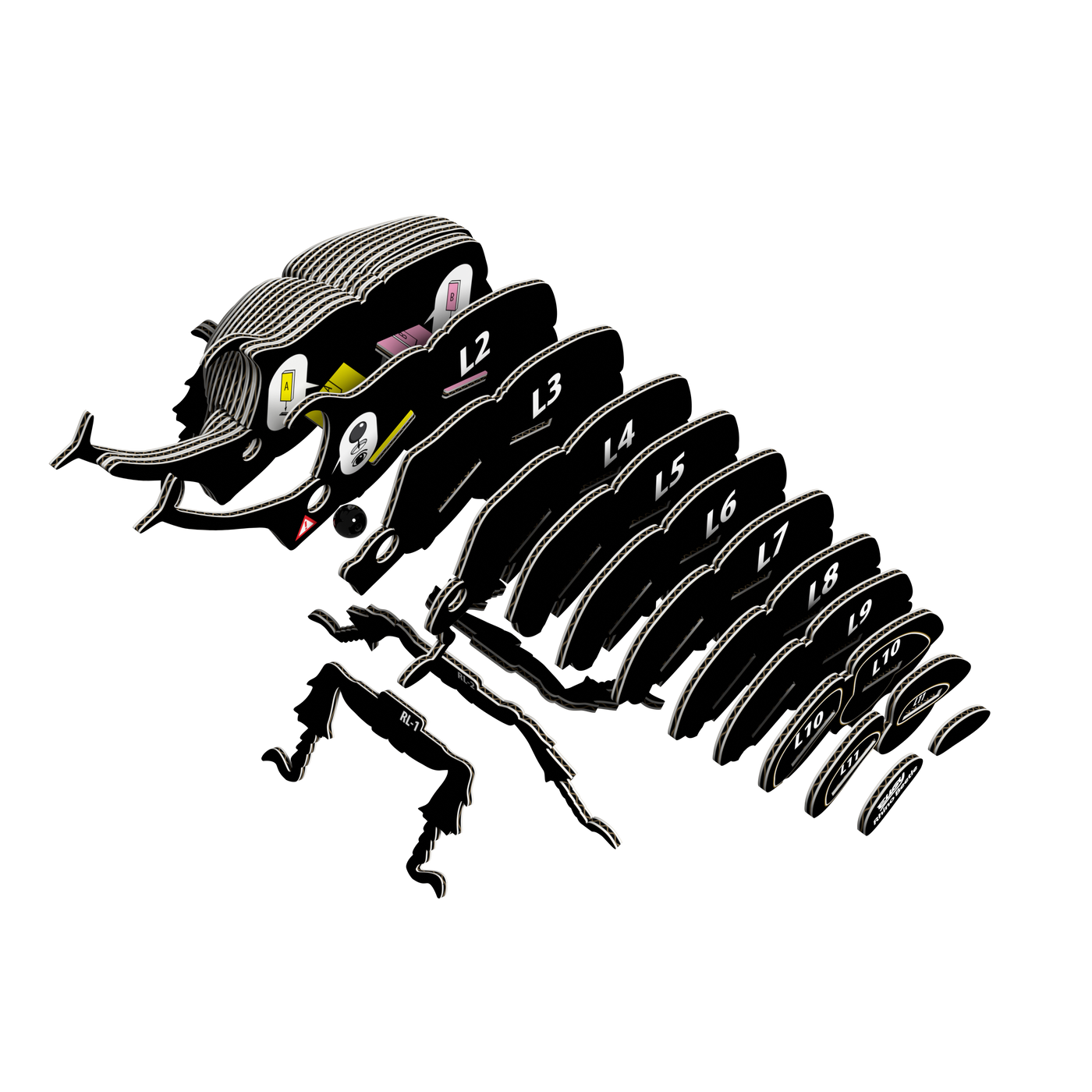 EUGY Rhino Beetle 3D Puzzle |  | Safari Ltd®