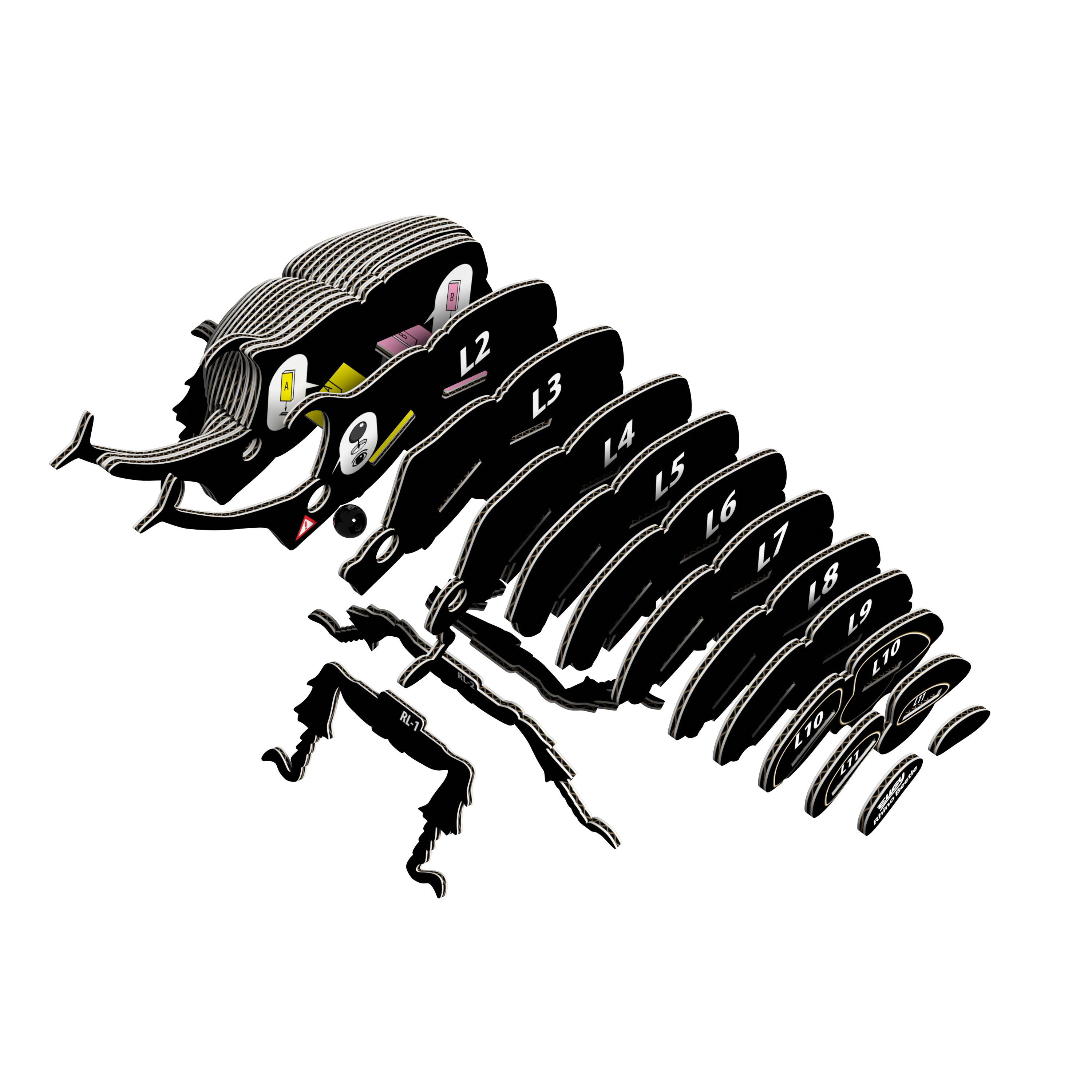 EUGY Rhino Beetle 3D Puzzle |  | Safari Ltd®