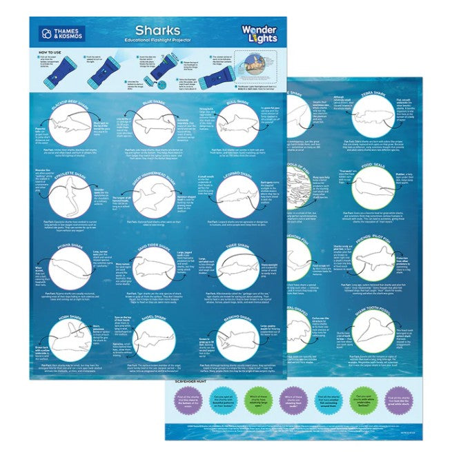 Wonder Lights: Sharks  Educational Flashlight Pro |  | Safari Ltd®