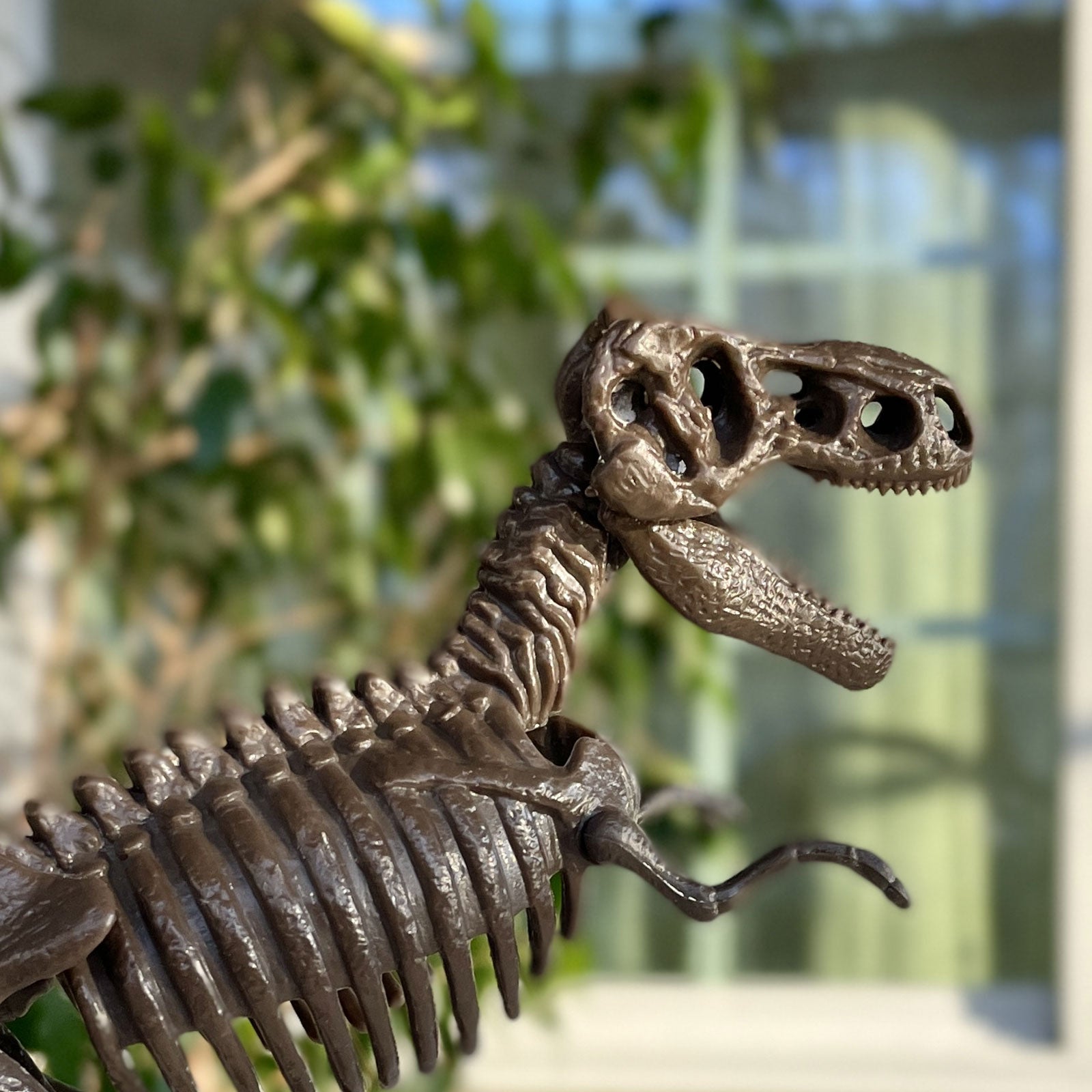 dino13ページです Discover Dig Kits – Triceratops, T-Rex, or Stegosaurus – Tyrannostorus