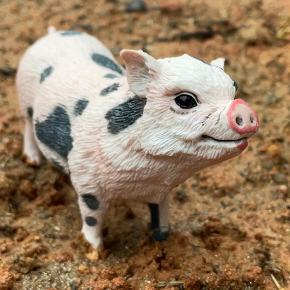 Pot Bellied Pig Figurine Safari Ltd®