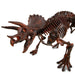Dr. Steve Hunters GEOWorld Paleo Expedition Triceratops Replica Skeleton Kit - 28 pieces |  | Safari Ltd®