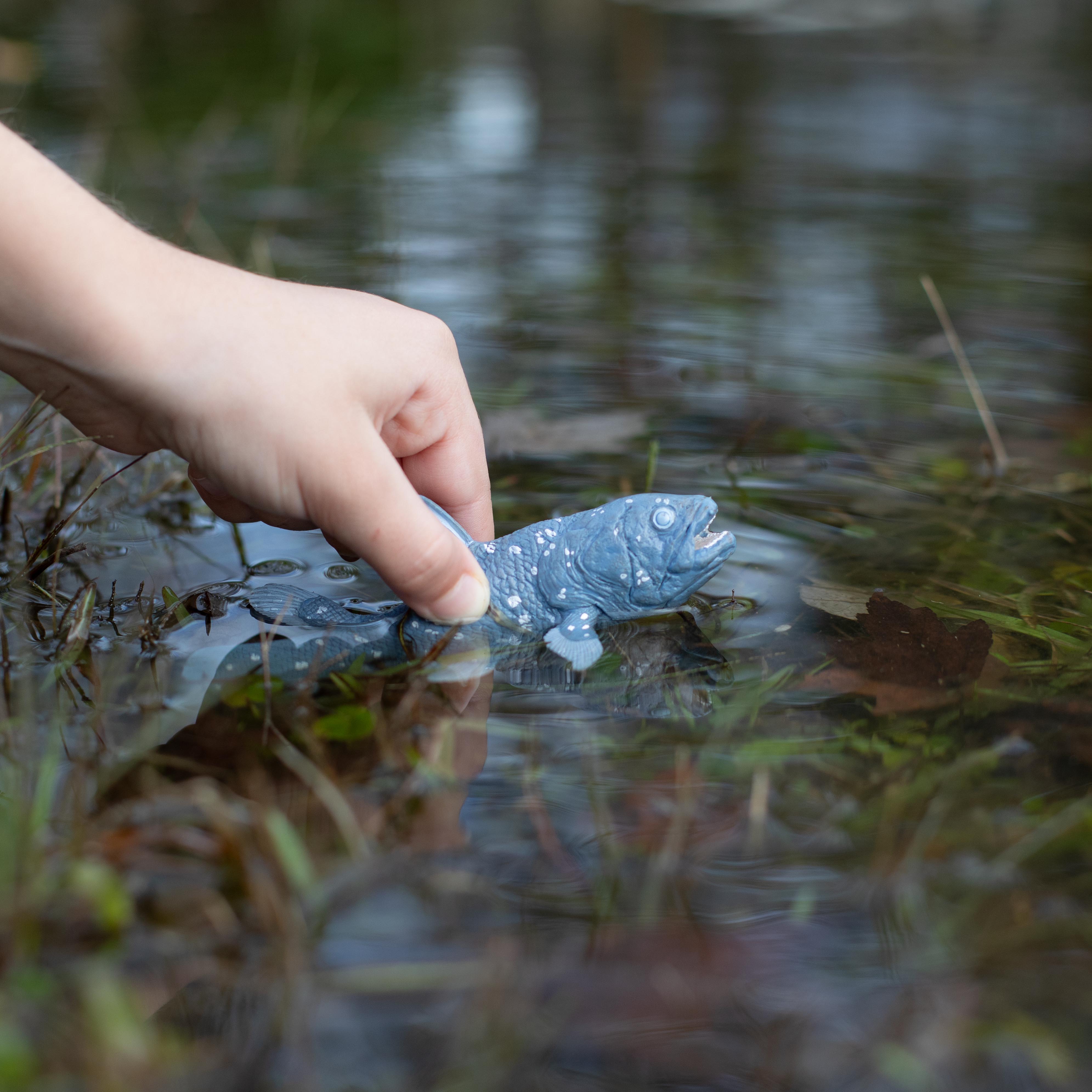 Coelacanth Toy Figurine | Safari Ltd® Prehistoric Fish Model