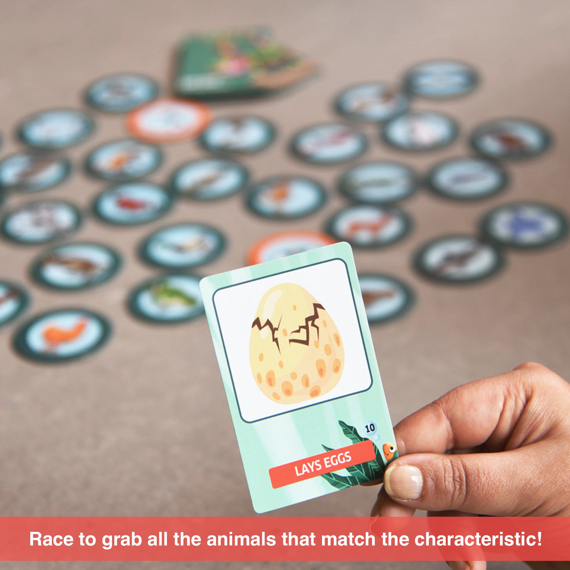 Chalk & Chuckles Eye See - Animals Card Game | Safari Ltd®