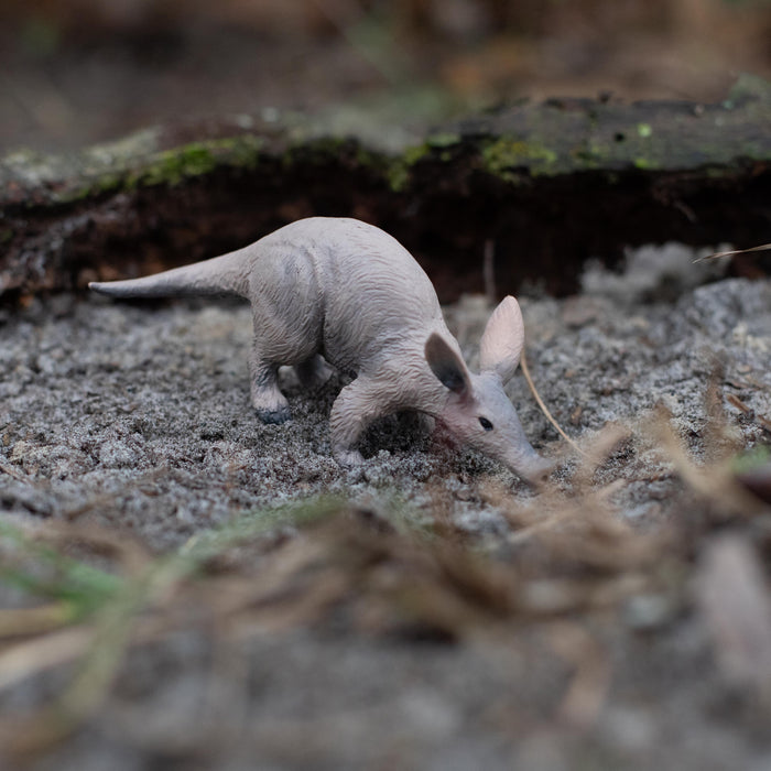 Aardvark Toy | Wildlife Animal Toys | Safari Ltd®