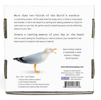 A Day at the Beach Kit |  | Safari Ltd®