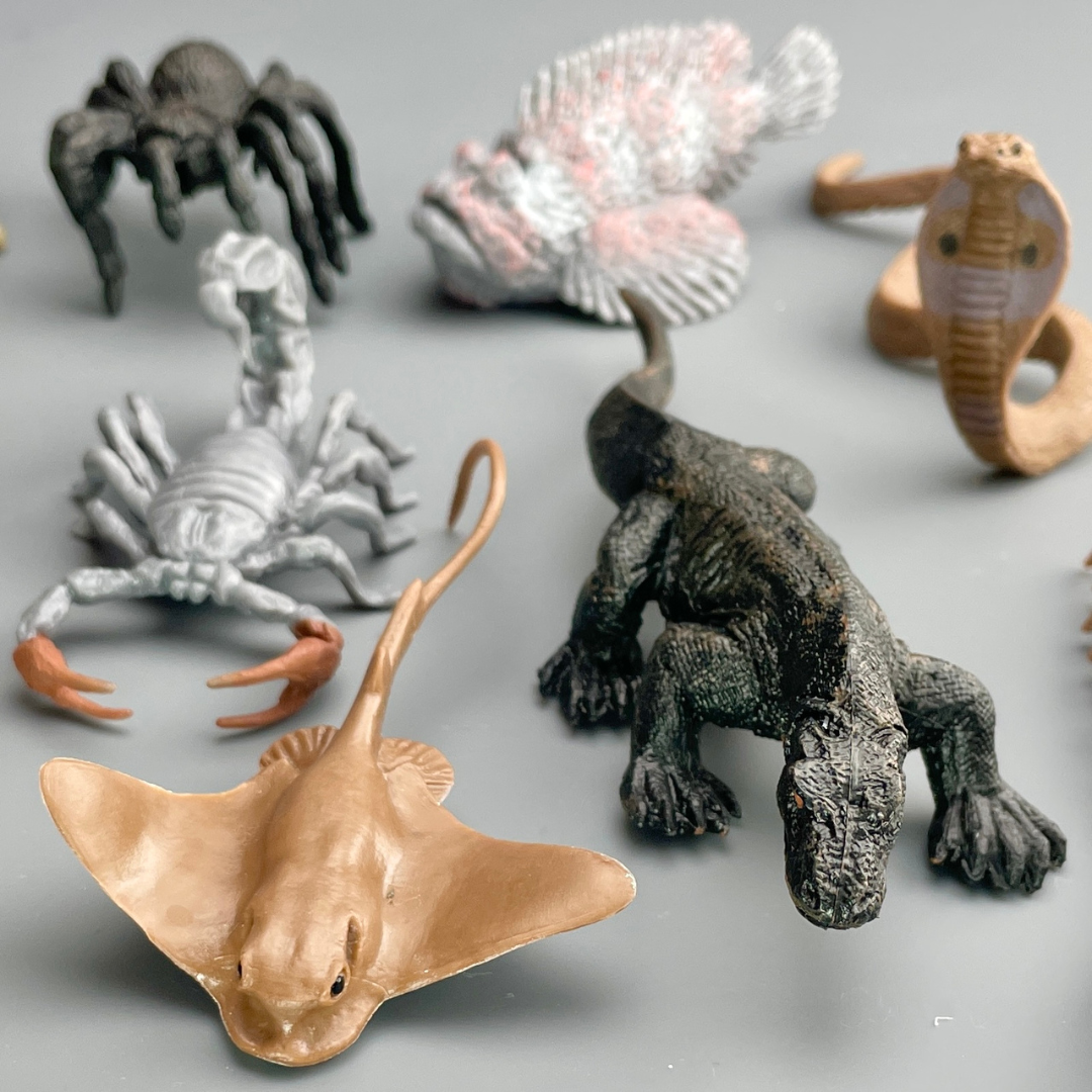 Venomous Creatures TOOB® | Safari Ltd®