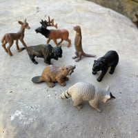 In the Woods TOOB® | TOOBS® - Mini Toys | Safari Ltd®