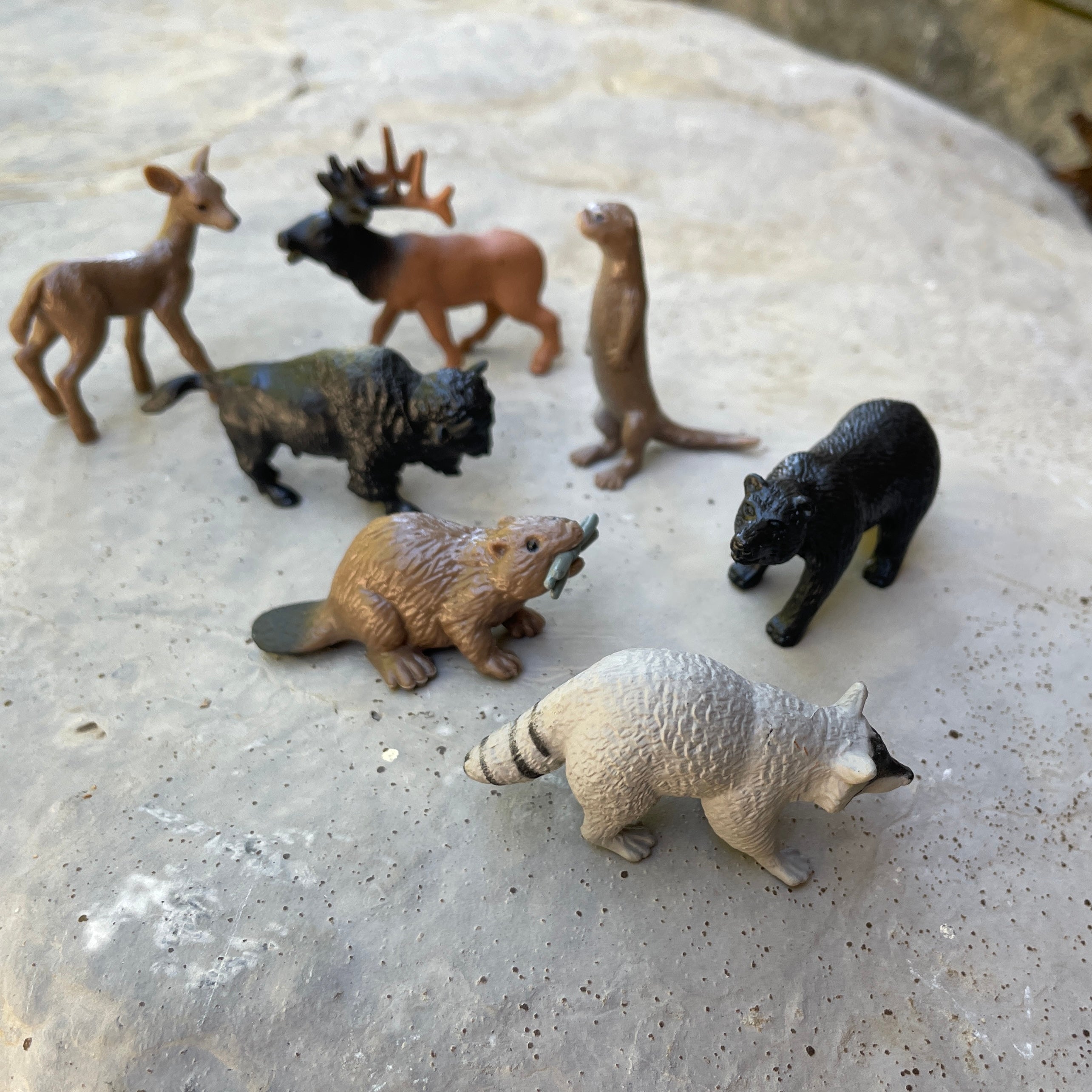 In the Woods TOOB® | TOOBS® - Mini Toys | Safari Ltd®