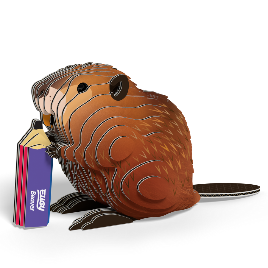 EUGY Beaver 3D Puzzle |  | Safari Ltd®