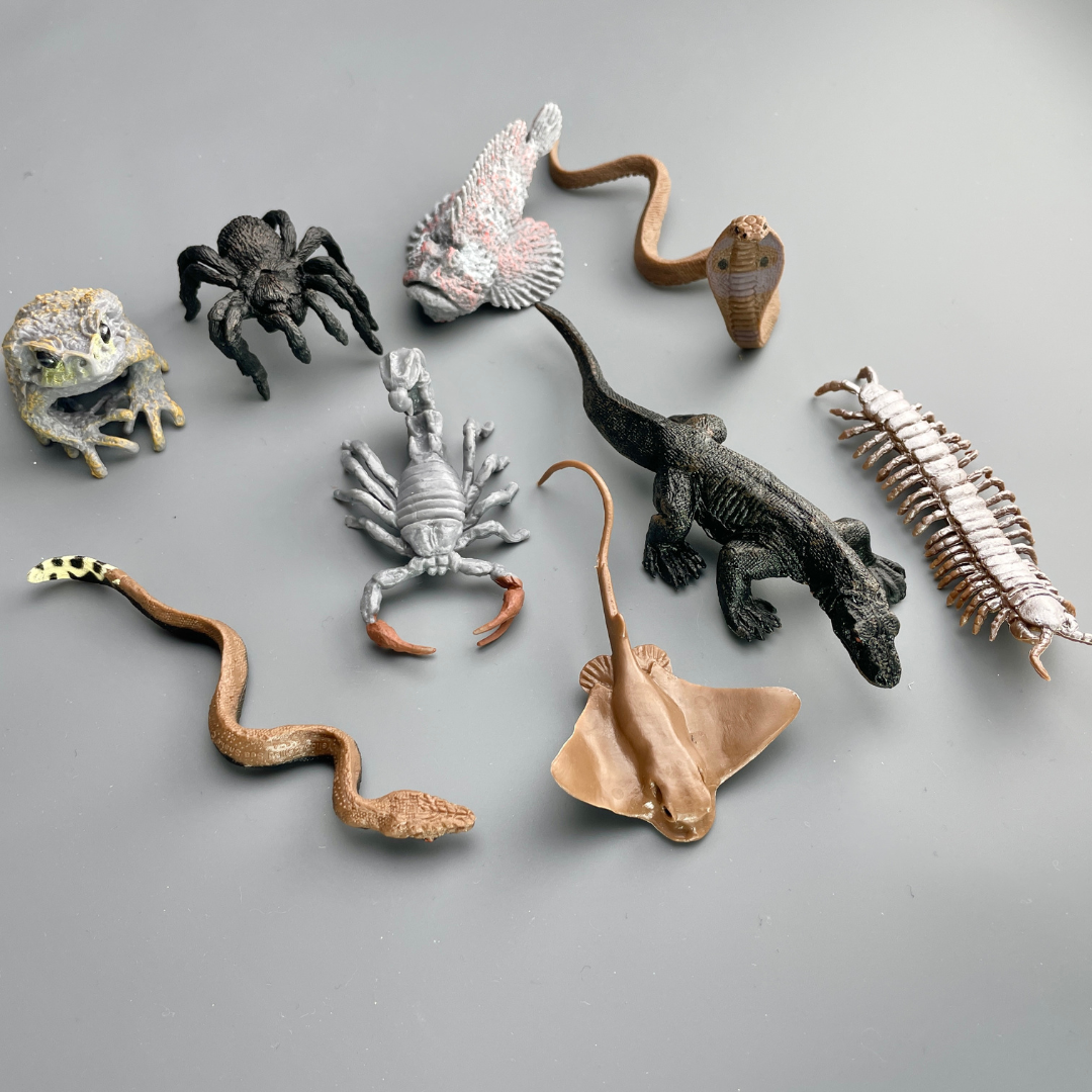 Venomous Creatures TOOB® | Safari Ltd®