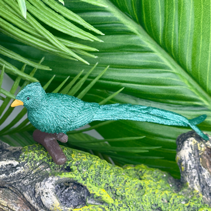 Exotic Birds TOOB® Figurines | Safari Ltd® Bird Toy Set | Safari Ltd®