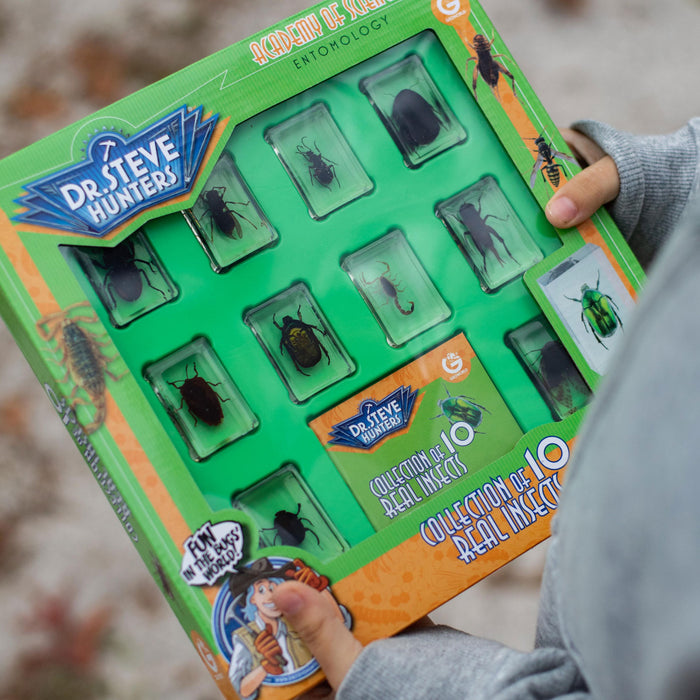 Dr. Steve Hunters Bug World Collection - 10 Real Insects Science & Education Toy Set |  | Safari Ltd®