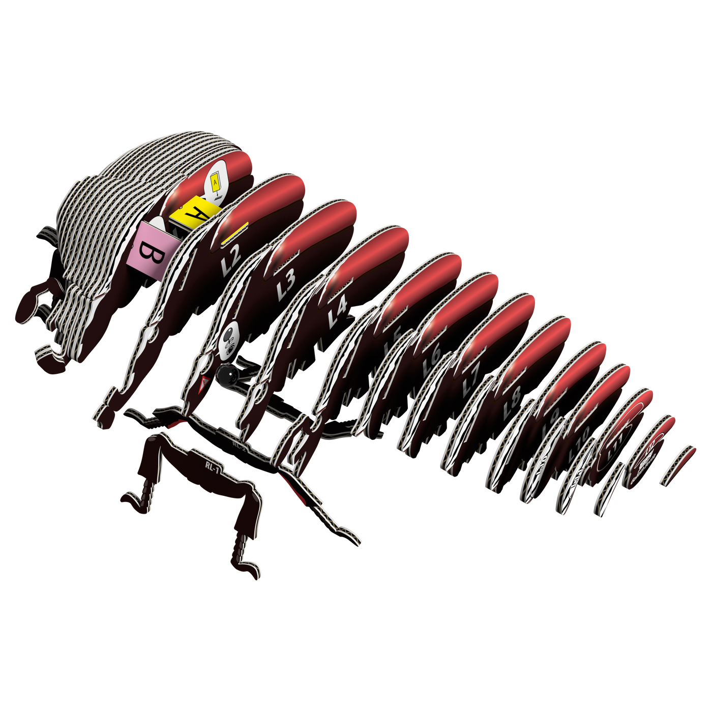 EUGY Goliath Beetle 3D Puzzle |  | Safari Ltd®