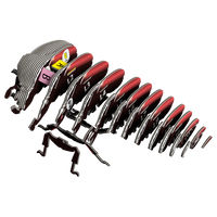 EUGY Goliath Beetle 3D Puzzle |  | Safari Ltd®