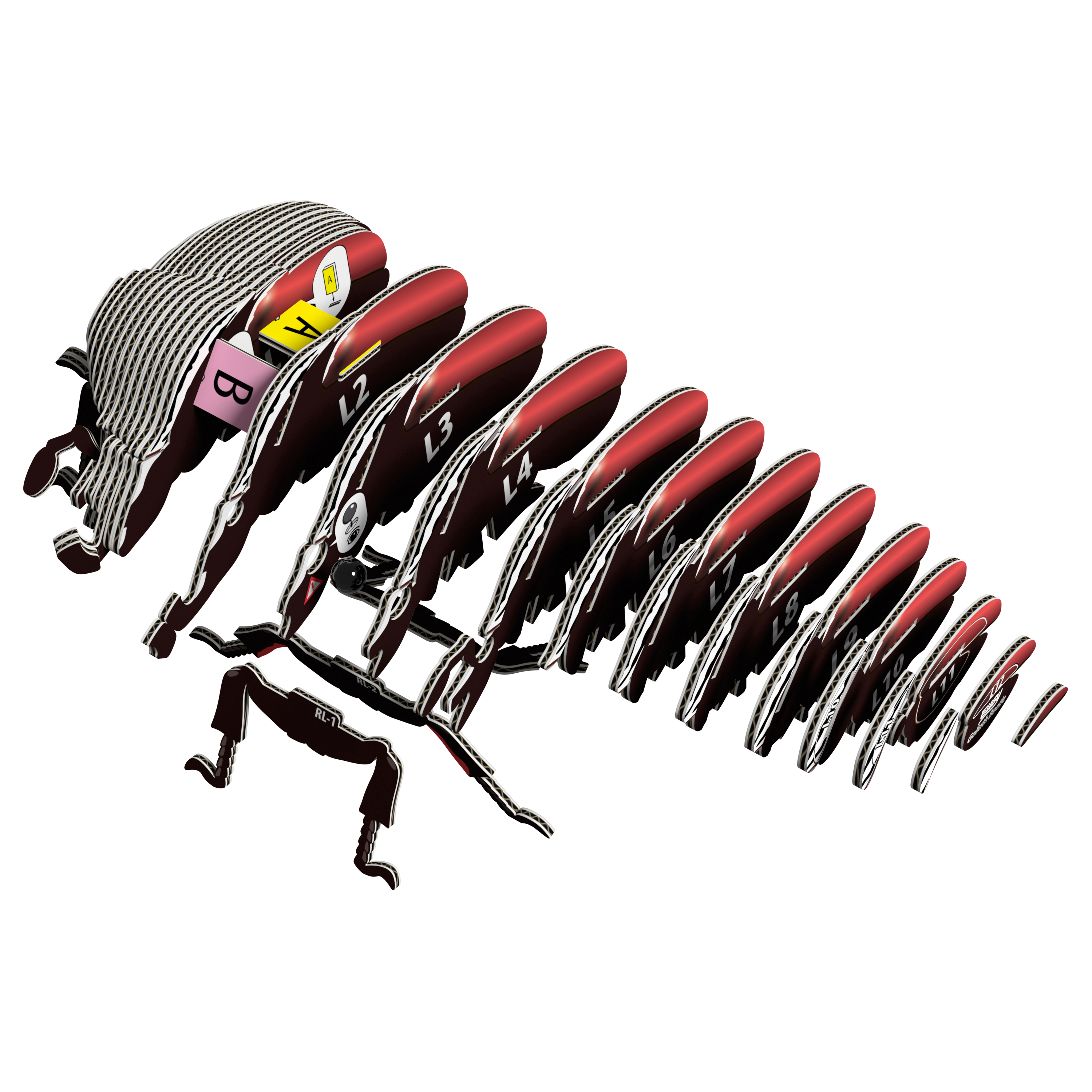 EUGY Goliath Beetle 3D Puzzle | Safari Ltd® EUGY Goliath Beetle 3D Puzzle | Safari Ltd®