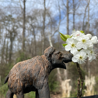 Woolly Mammoth Toy | Dinosaur Toys | Safari Ltd®
