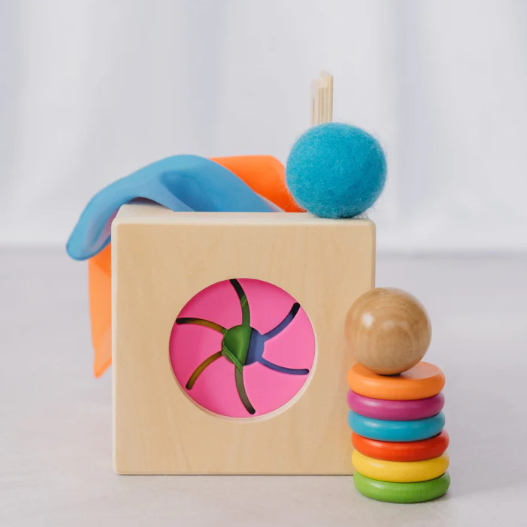 The Totli Box |  | Safari Ltd®