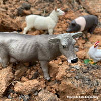 Brown Swiss Cow | Farm | Safari Ltd®