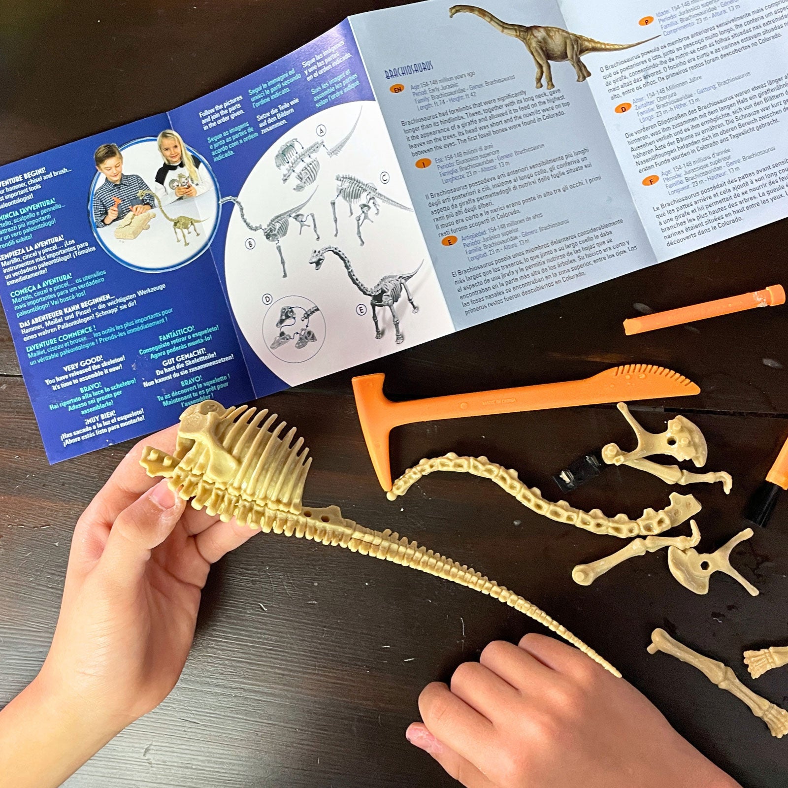 Dr. Steve Hunters GEOWorld Dino Dig Brachiosaurus Excavation Kit