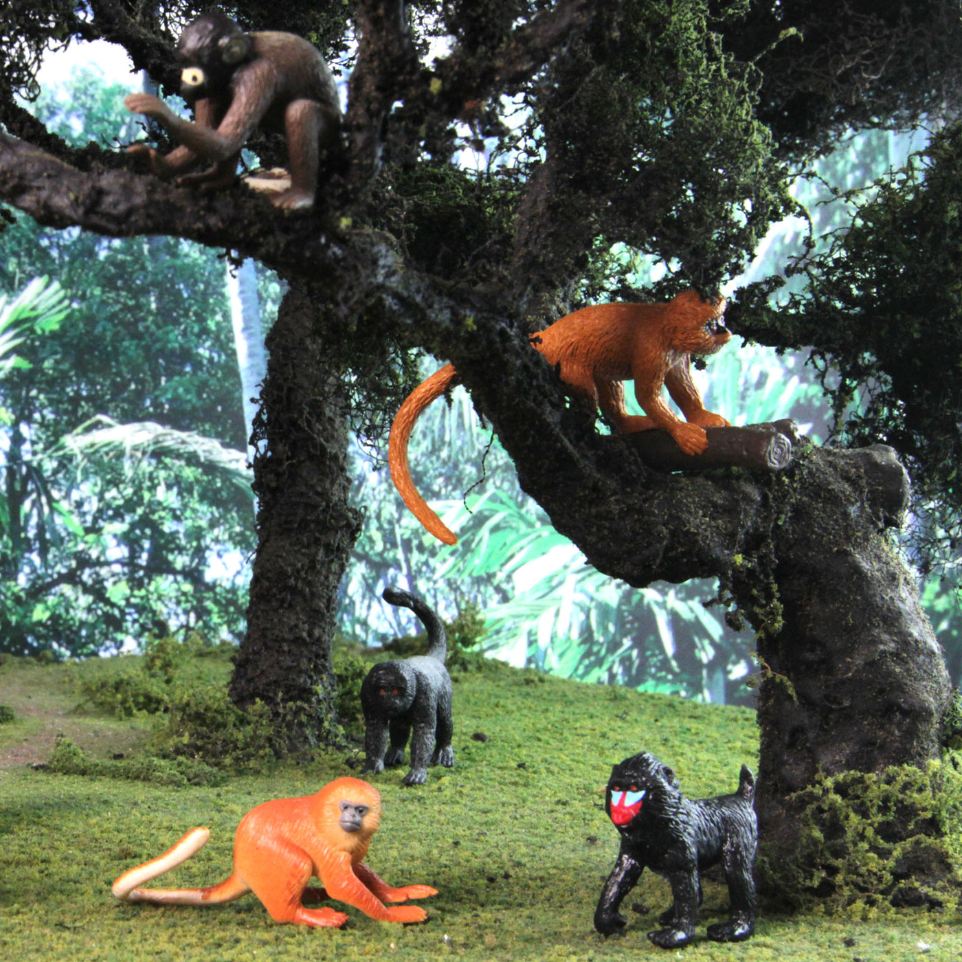 Monkeys & Apes TOOB® – 12 Primates, Educational Toy Set | Safari Ltd ...
