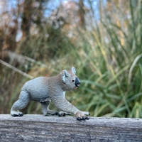 Koala Toy | Wildlife Animal Toys | Safari Ltd®
