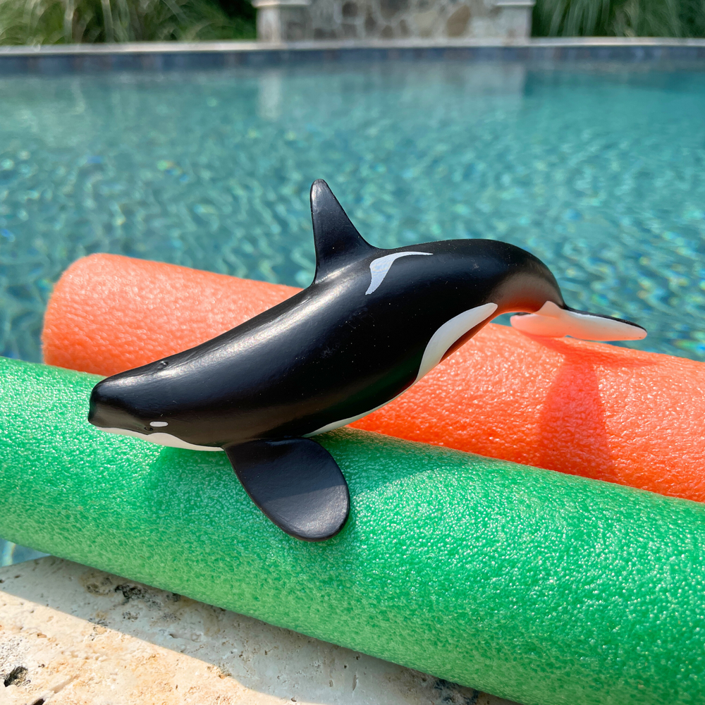 Safari Ltd Wild Safari Sea Life Killer Whale (Orca) Figure - Hand Painted, 5.9"L, Educational Toy