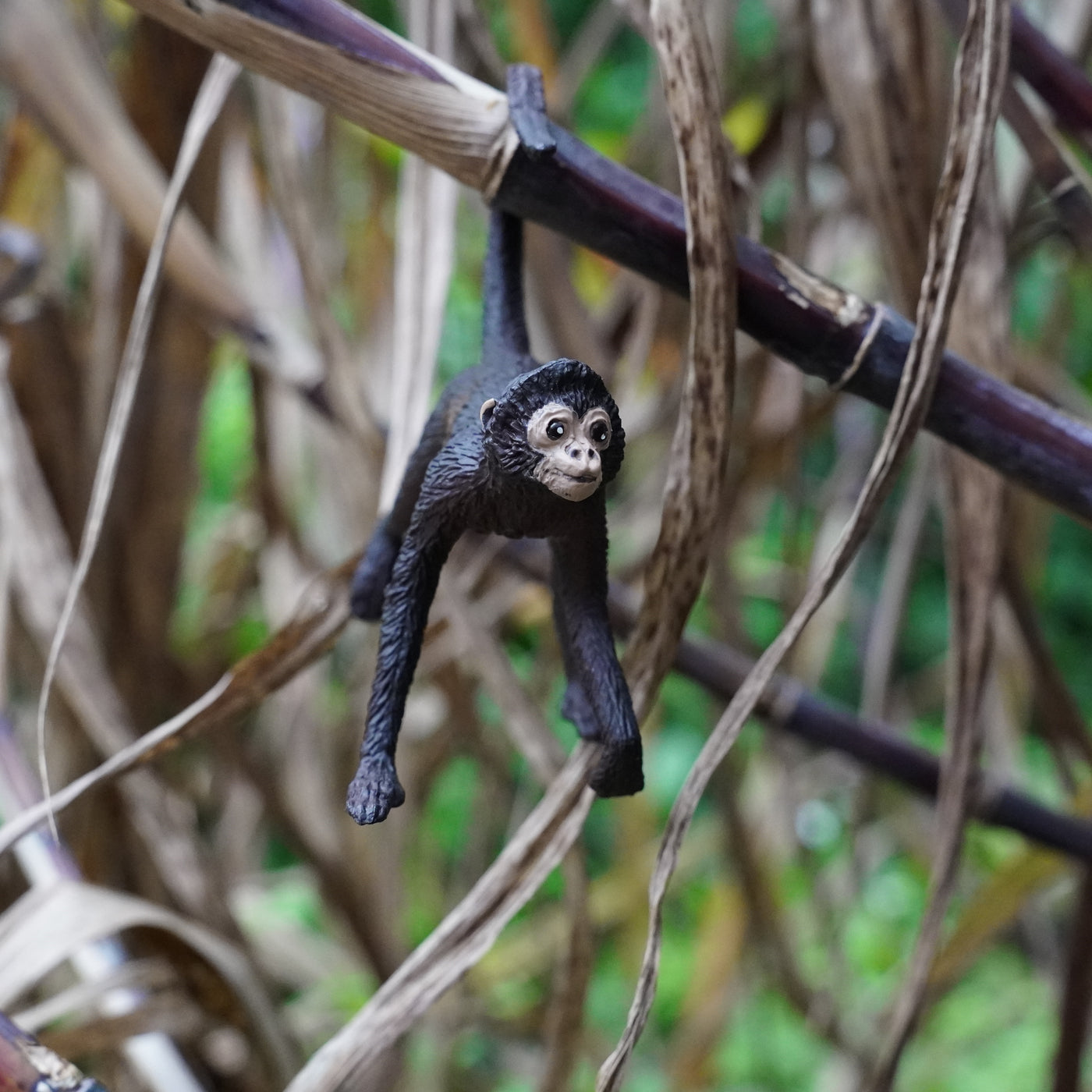 Spider Monkey Toy | Wildlife Animal Toys | Safari Ltd®
