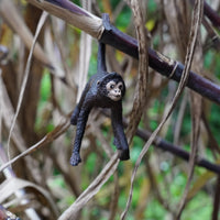 Spider Monkey Toy | Wildlife Animal Toys | Safari Ltd®