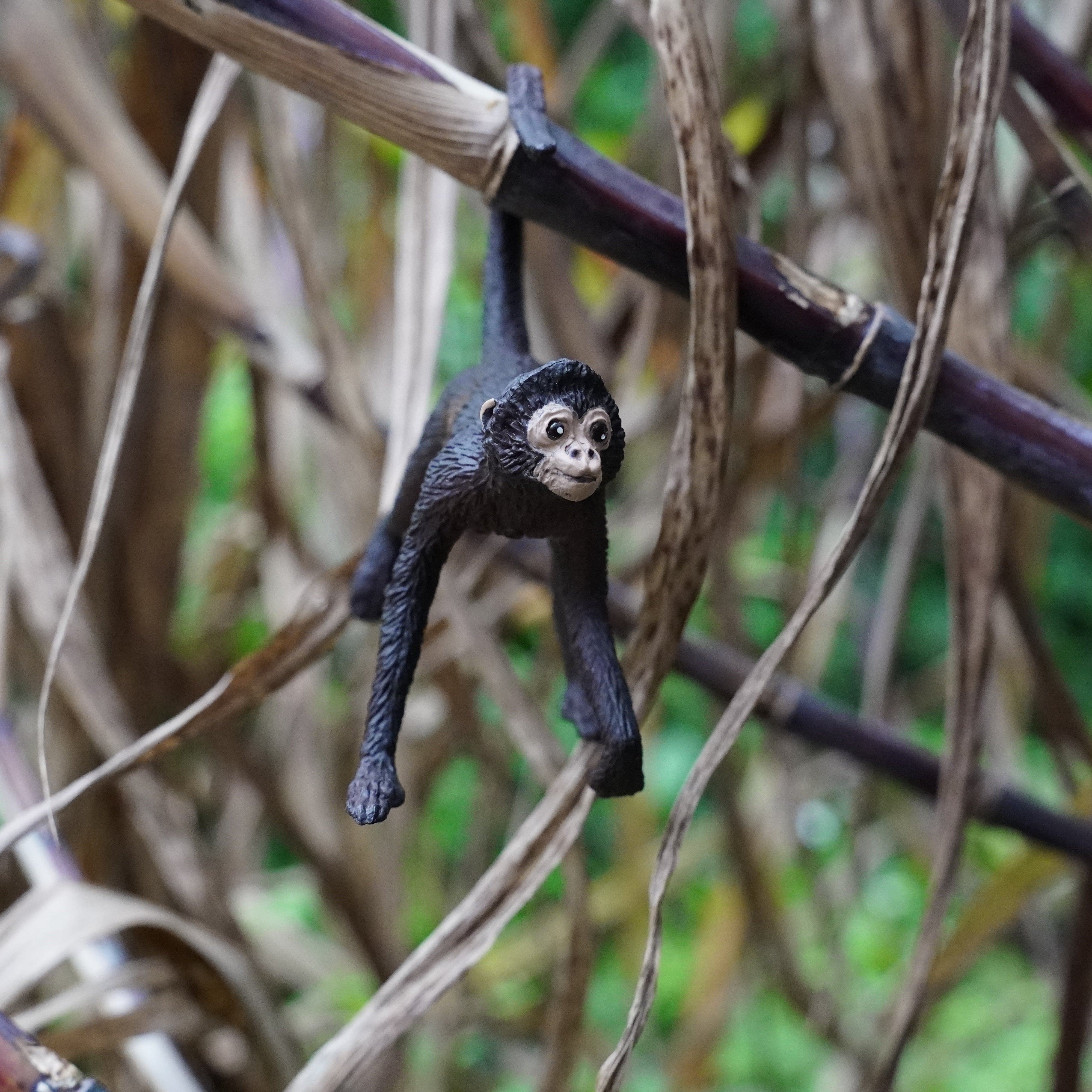 Spider Monkey Toy | Wildlife Animal Toys | Safari Ltd®