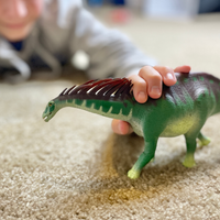 Amargasaurus Toy | Dinosaur Toys | Safari Ltd®