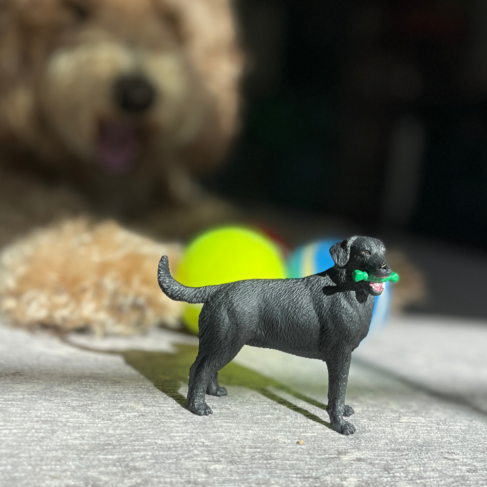 Black Labrador | Dog Toy | Safari Ltd®