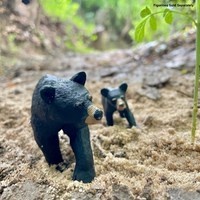Black Bear Toy | Wildlife Animal Toys | Safari Ltd®