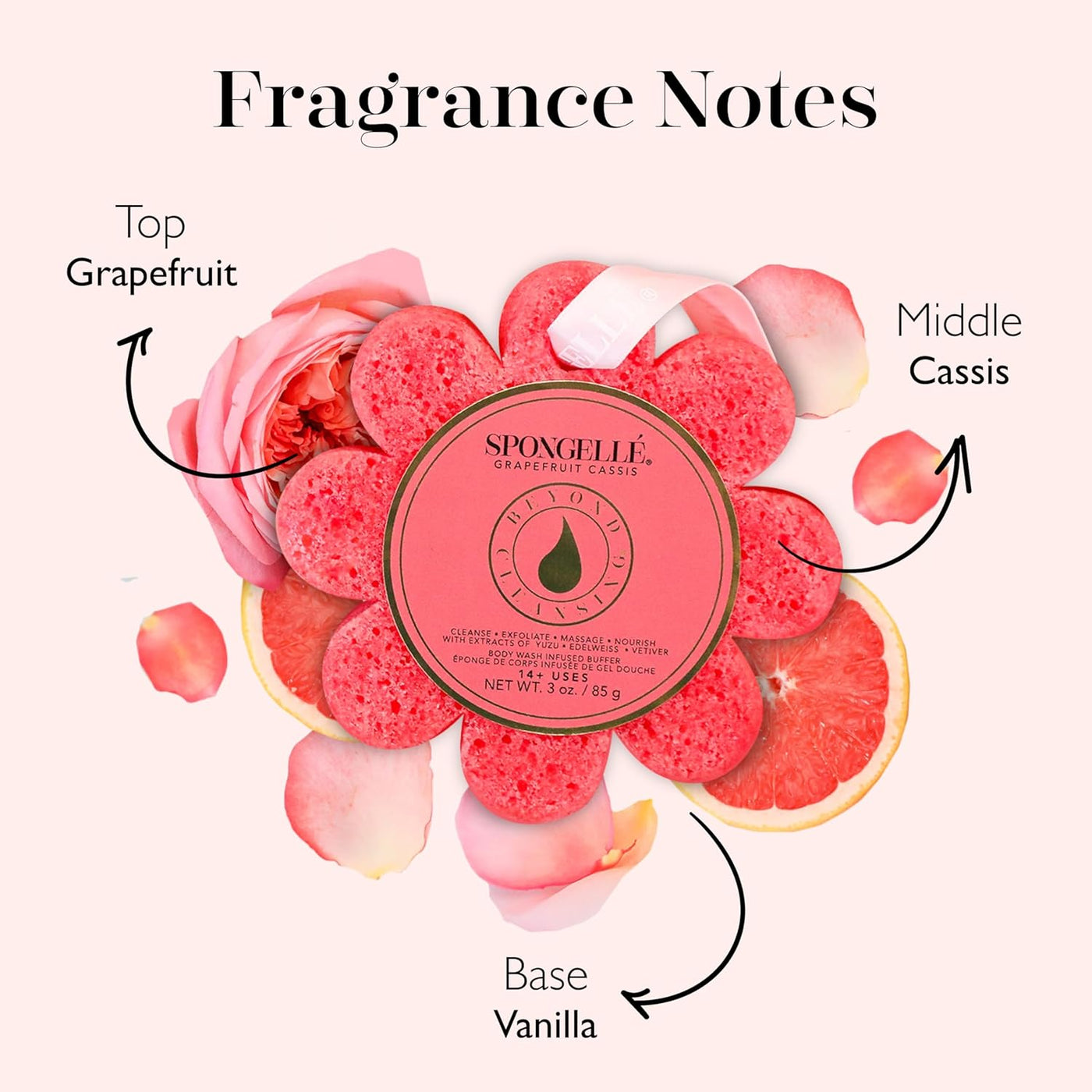 Wild Flower Red-Grapefruit Cassis |  | Safari Ltd®