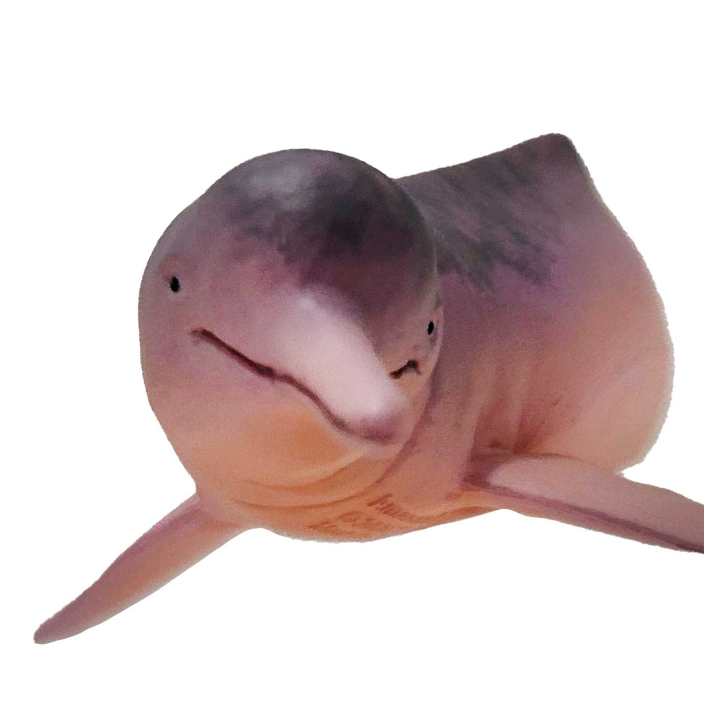 Amazon River Dolpin Toy Figurine