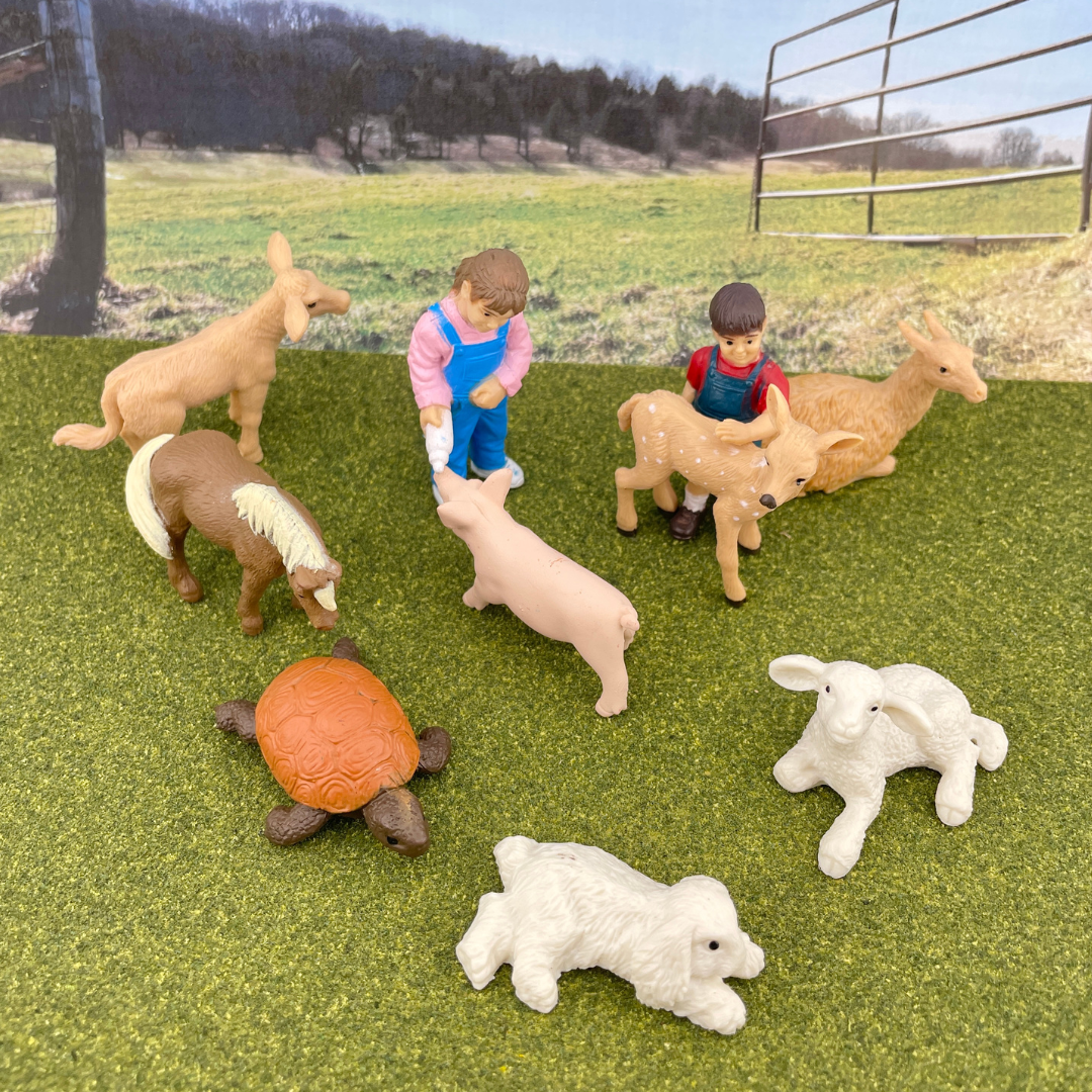 Petting Zoo TOOB® | TOOBS® - Mini Toys | Safari Ltd®