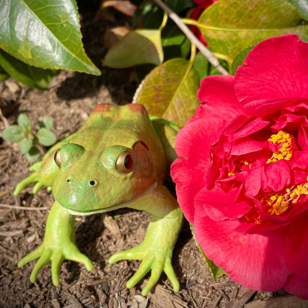 American Bullfrog Amphibian Toy | Safari Ltd®
