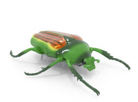 Hex Bots Nano Real Bugs 5-Pack |  | Safari Ltd®