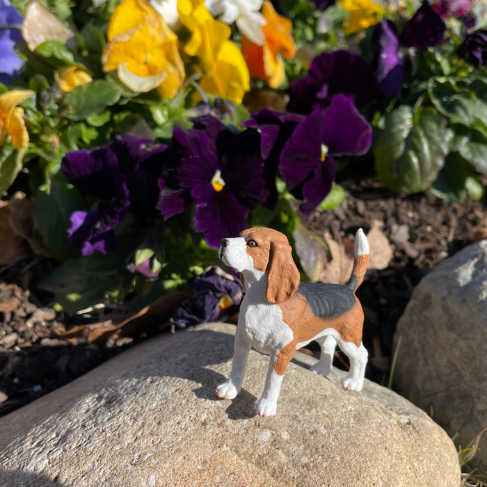 Beagle Toy | Farm | Safari Ltd®