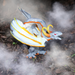 Smoke Dragon Toy | Dragon Toys | Safari Ltd®