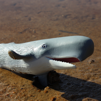 Sperm Whale Toy | Sea Life | Safari Ltd®