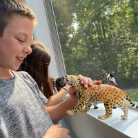 Jaguar Toy | Wildlife Animal Toys | Safari Ltd®