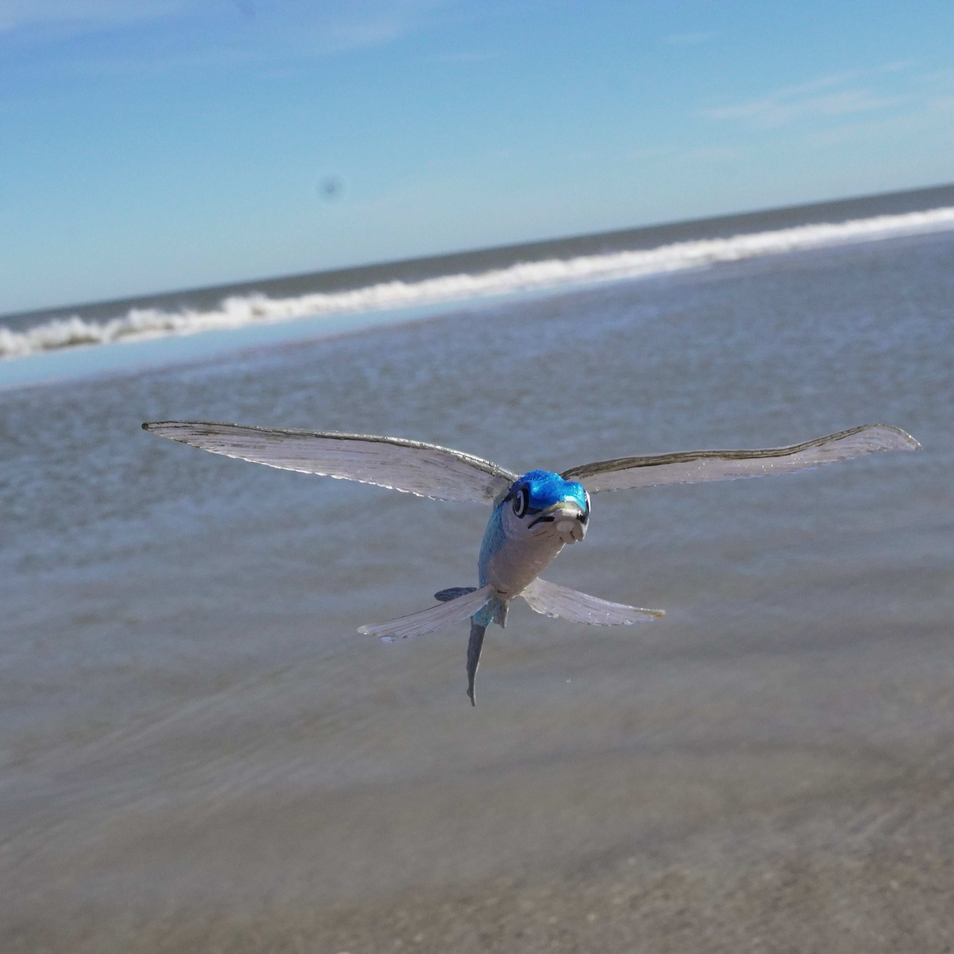 Flying Fish Toy | Safari Ltd®