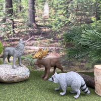 Nature TOOB® | TOOBS® - Mini Toys | Safari Ltd®