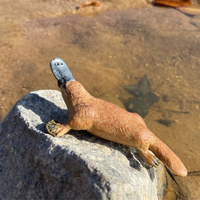 Platypus Toy | Wildlife Animal Toys | Safari Ltd®