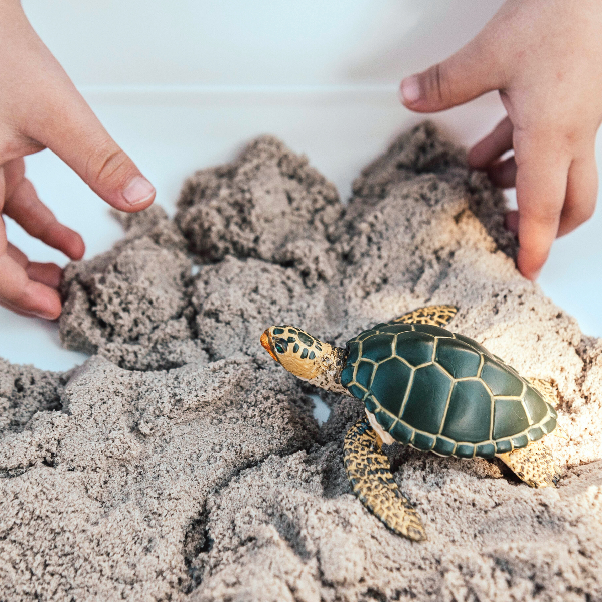 Green Sea Turtle Figurine | Safari Ltd® Ocean Animal Toy | Safari Ltd® Green Sea Turtle Figurine | Safari Ltd® Ocean Animal Toy | Safari Ltd®