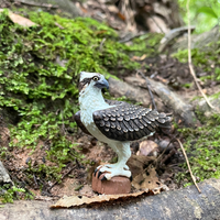 Osprey Toy Bird Figure |  | Safari Ltd®